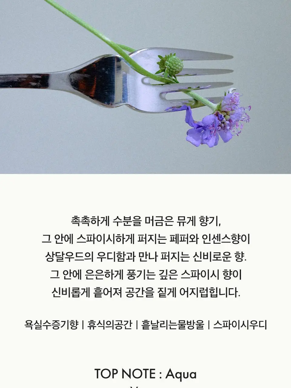 [Gift] 아닐로 오 드 퍼퓸 50ml 8종 택1 상세페이지 20